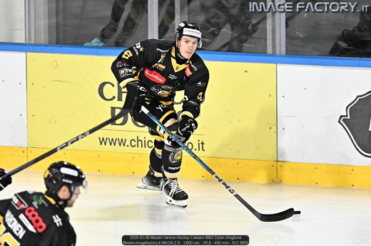 2025-02-08 Mastini Varese-Hockey Caldaro 0662 Dylan Ghiglione